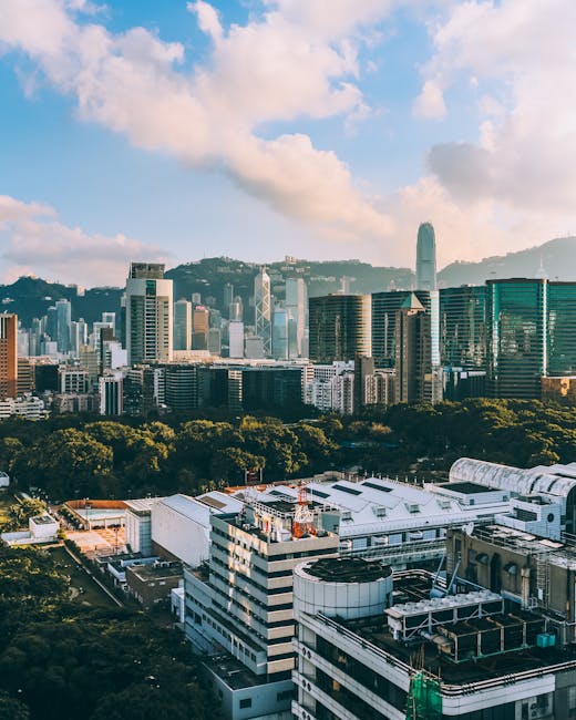 香港大学 校园图片 1