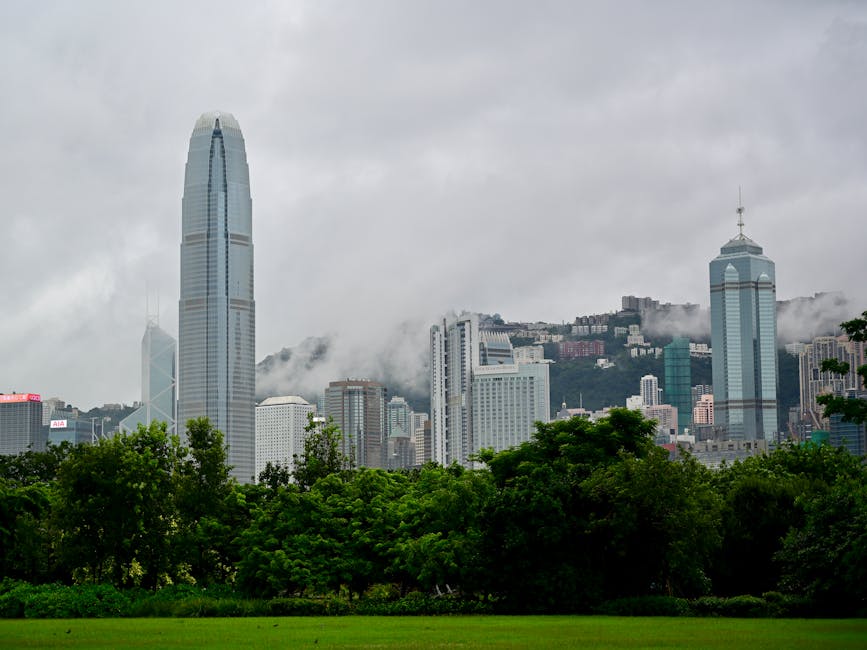 香港大学 校园图片 4