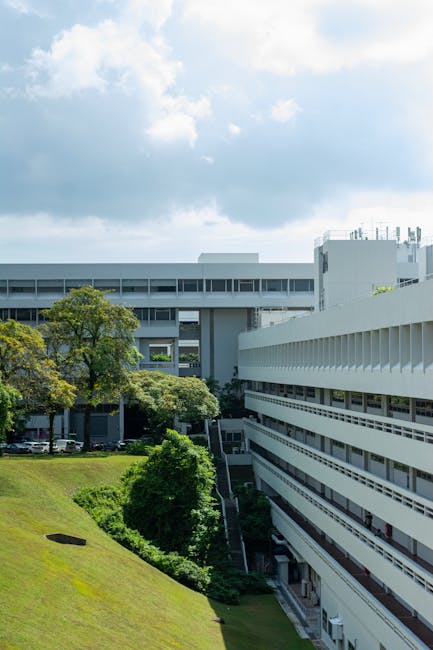 南洋理工大学 校园图片 1