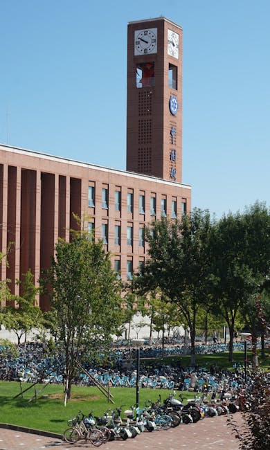 北京大学 校园图片 2