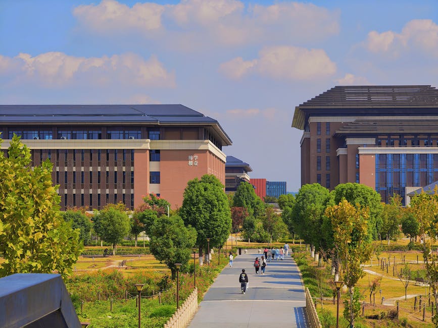 清华大学 校园图片 3