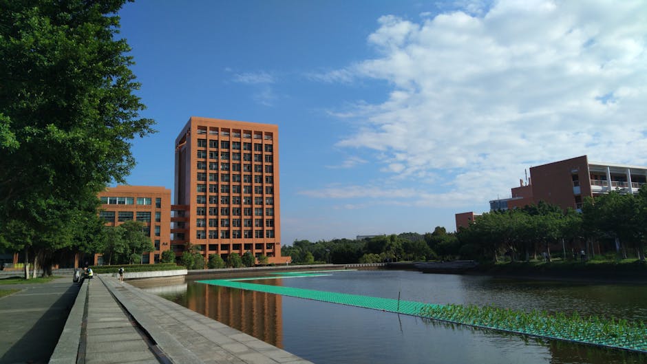 清华大学 校园图片 4