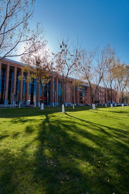 清华大学 校园图片 5