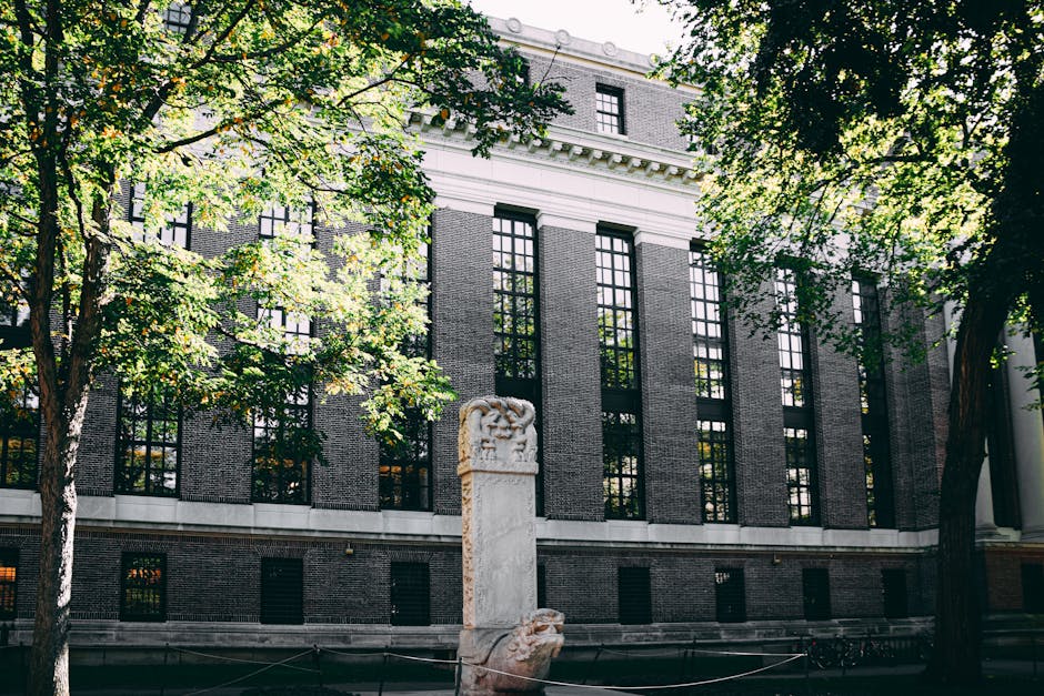 麻省理工学院 校园图片 4