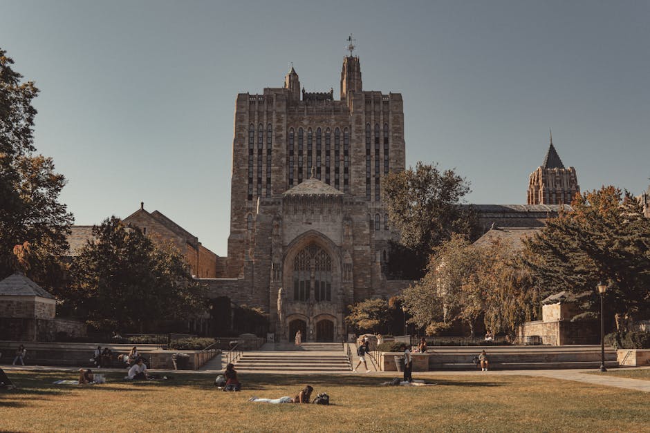 耶鲁大学 校园图片 2