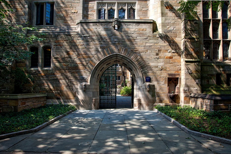 耶鲁大学 校园图片 3